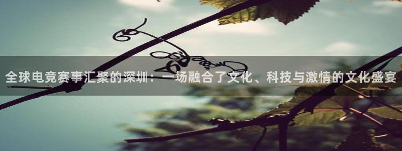 完美电竞联赛：全球电竞赛事汇聚的深圳：一场融合了文化、科技与激情的文化盛宴