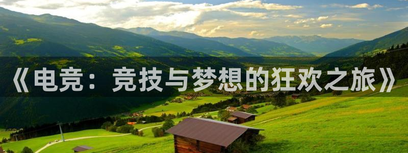 完美电竞平台官网网址：《电竞：竞技与梦想的狂欢之旅》