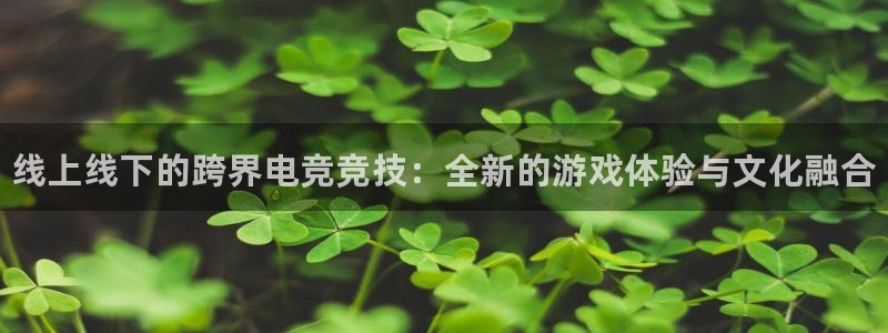 csgo完美电竞：线上线下的跨界电竞竞技：全新的游戏体验与文化融合