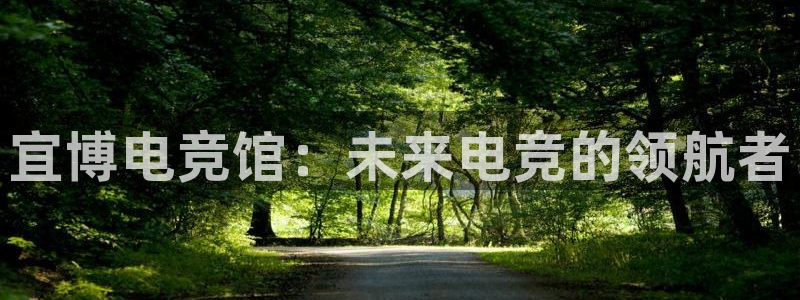 完美电竞app官网：宜博电竞馆：未来电竞的领航者