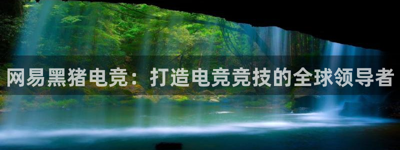 完美电竞平台官网网址：网易黑猪电竞：打造电竞竞技的全球领导者