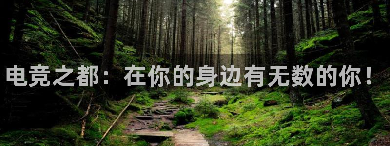 完美电竞联赛：电竞之都：在你的身边有无数的你！