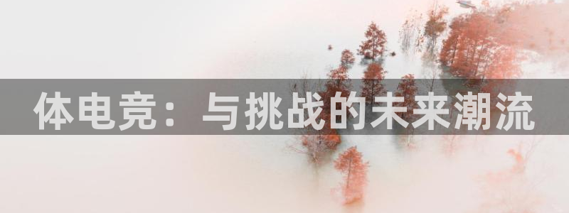 完美电竞查询：体电竞：与挑战的未来潮流