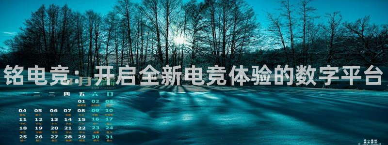 完美电竞世界