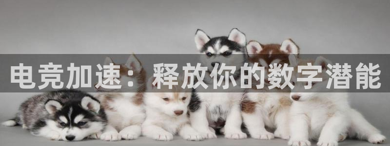 完美电竞大会员：电竞加速：释放你的数字潜能