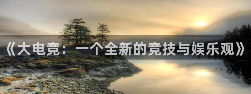 完美电竞app官网：《大电竞：一个全新的竞技与娱乐观》