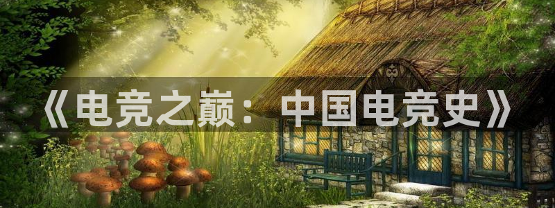 完美电竞世界平台下载：《电竞之巅：中国电竞史》