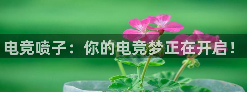 完美电竞官网：电竞喷子：你的电竞梦正在开启！