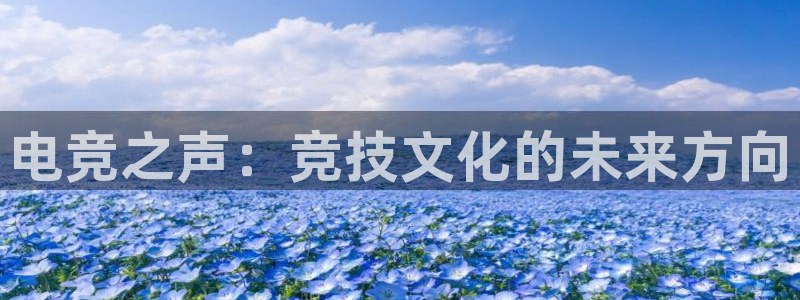 完美电竞世界平台下载：电竞之声：竞技文化的未来方向