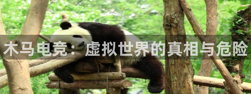 完美电竞手机app：木马电竞：虚拟世界的真相与危险