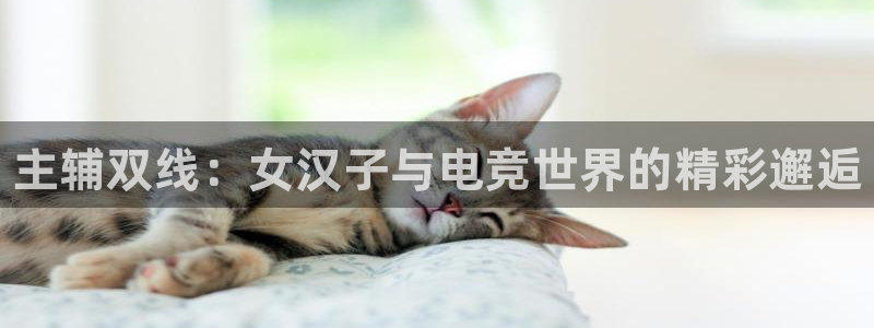完美电竞下载：主辅双线：女汉子与电竞世界的精彩邂逅