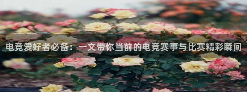 完美电竞大会员：电竞爱好者必备：一文带你当前的电竞赛事与比赛精彩瞬间