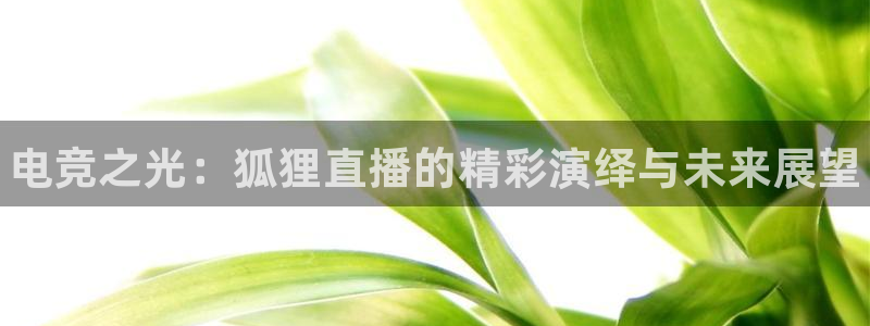 完美电竞直播：电竞之光：狐狸直播的精彩演绎与未来展望