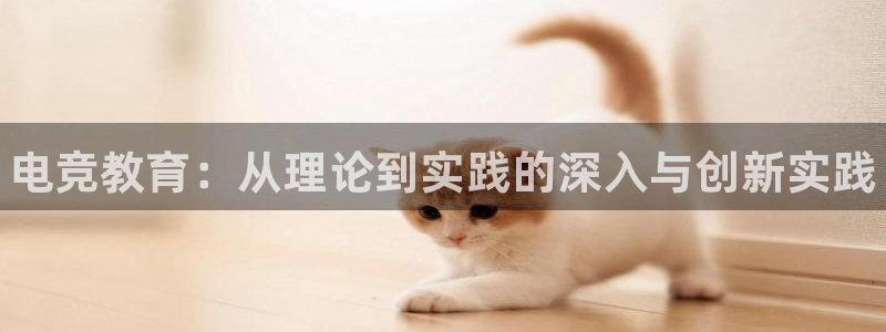 完美电竞开箱：电竞教育：从理论到实践的深入与创新实践