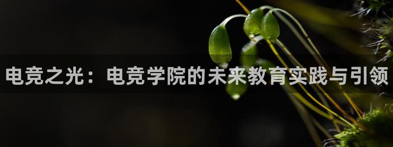 cs完美电竞平台：电竞之光：电竞学院的未来教育实践与引领