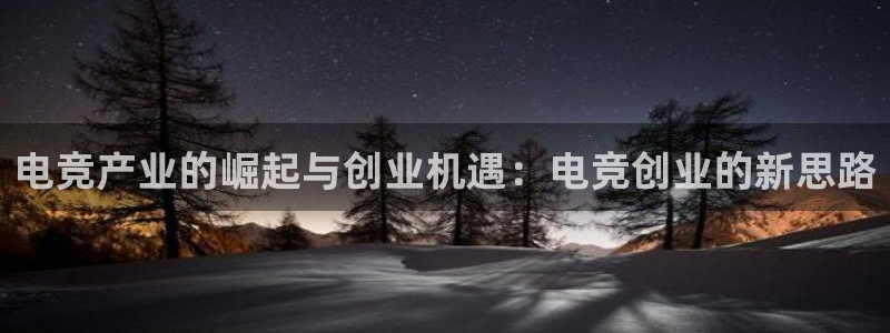 完美电竞账号：电竞产业的崛起与创业机遇：电竞创业的新思路
