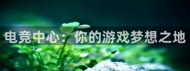 完美电竞cs：电竞中心：你的游戏梦想之地