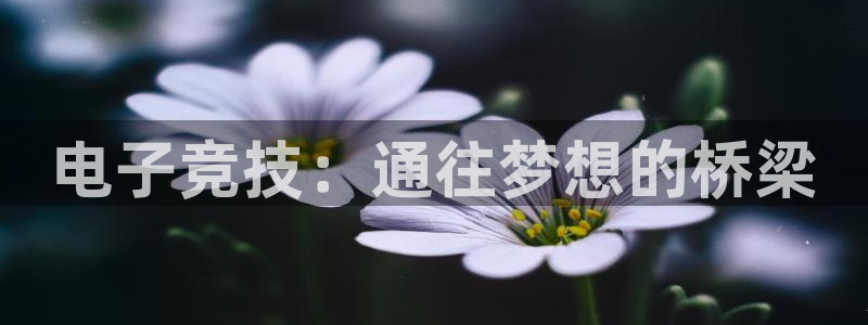 完美电竞平台排行榜：电子竞技：通往梦想的桥梁