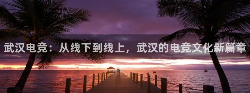 完美电竞绑定steam：武汉电竞：从线下到线上，武汉的电竞文化新篇章