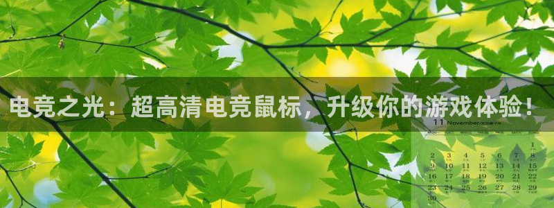 完美电竞app官网：电竞之光：超高清电竞鼠标，升级你的游戏体验！