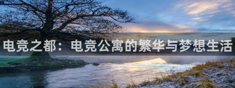 完美电竞绑定steam：电竞之都：电竞公寓的繁华与梦想生活