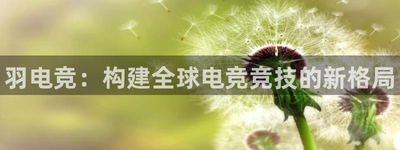 完美电竞世界官网：羽电竞：构建全球电竞竞技的新格局