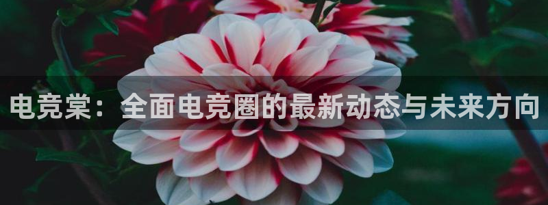 csgo完美电竞：电竞棠：全面电竞圈的最新动态与未来方向