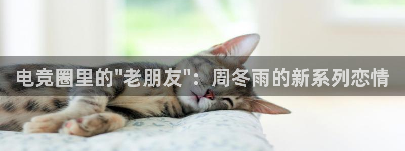 完美电竞对战平台：电竞圈里的\