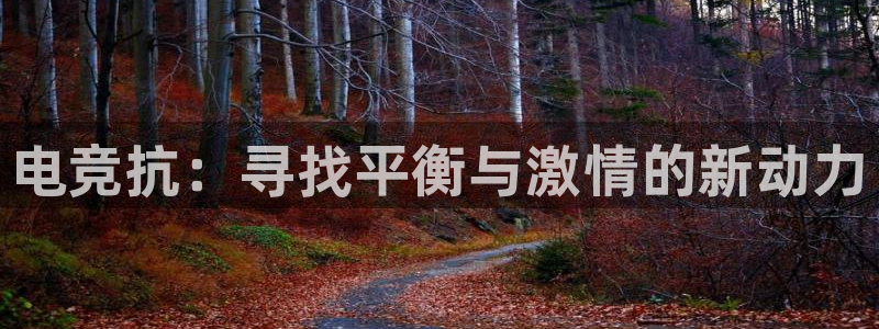 完美电竞直播：电竞抗：寻找平衡与激情的新动力