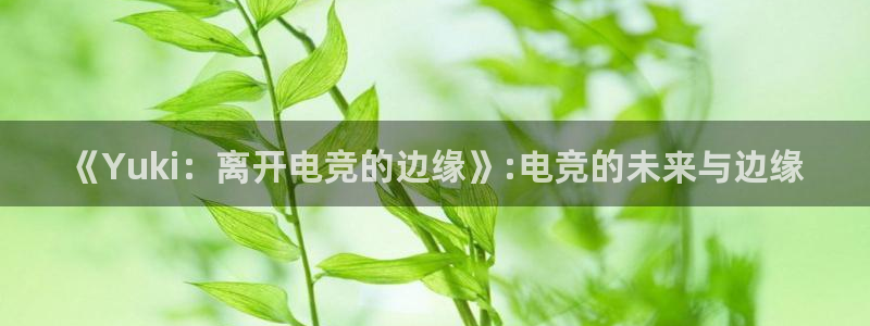 完美电竞直播：《Yuki：离开电竞的边缘》:电竞的未来与边缘
