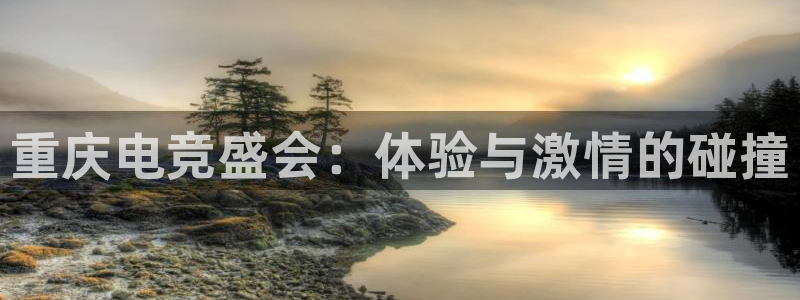 完美电竞平台排行榜：重庆电竞盛会：体验与激情的碰撞