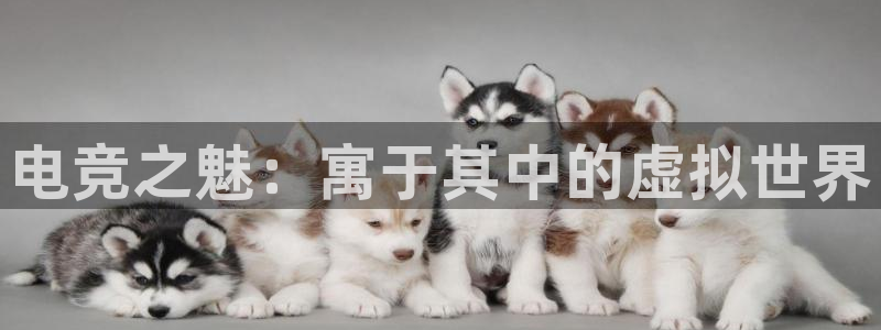 csgo完美电竞：电竞之魅：寓于其中的虚拟世界