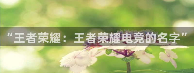 完美电竞世界：“王者荣耀：王者荣耀电竞的名字”