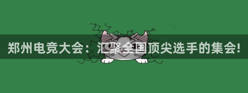 完美电竞平台下载：郑州电竞大会：汇聚全国顶尖选手的集会!