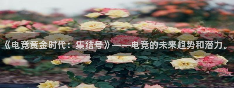csgo完美电竞：《电竞黄金时代：集结号》——电竞的未来趋势和潜力。