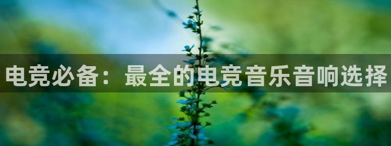 完美电竞平台下载：电竞必备：最全的电竞音乐音响选择