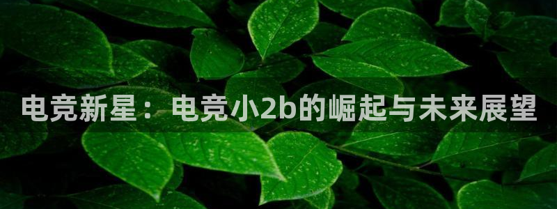 完美电竞大会员：电竞新星：电竞小2b的崛起与未来展望