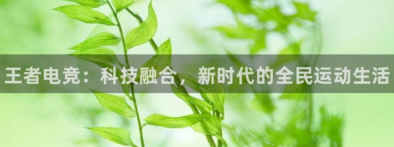 完美电竞世界平台：王者电竞：科技融合，新时代的全民运动生活