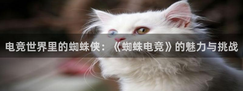 完美电竞下载：电竞世界里的蜘蛛侠：《蜘蛛电竞》的魅力与挑战