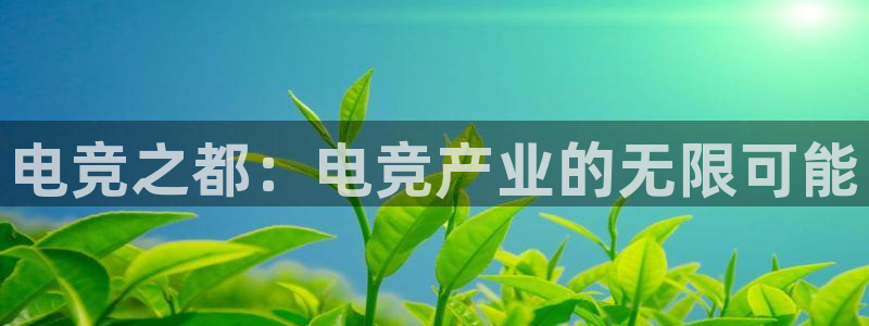 完美电竞查询：电竞之都：电竞产业的无限可能
