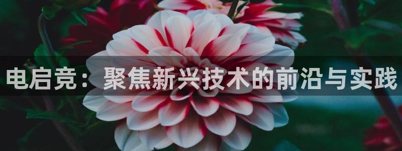 cs完美电竞平台：电启竞：聚焦新兴技术的前沿与实践