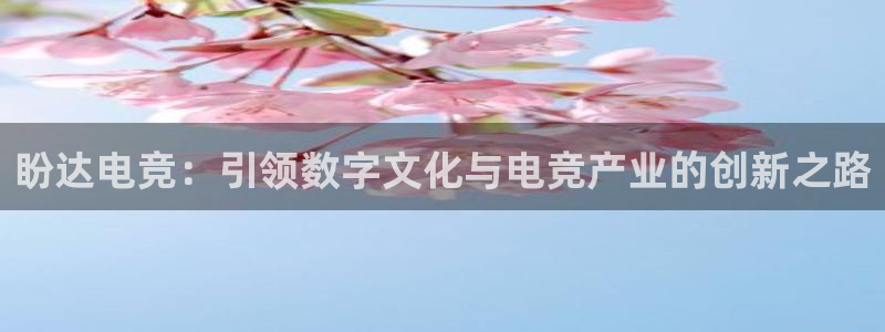 完美电竞app：盼达电竞：引领数字文化与电竞产业的创新之路