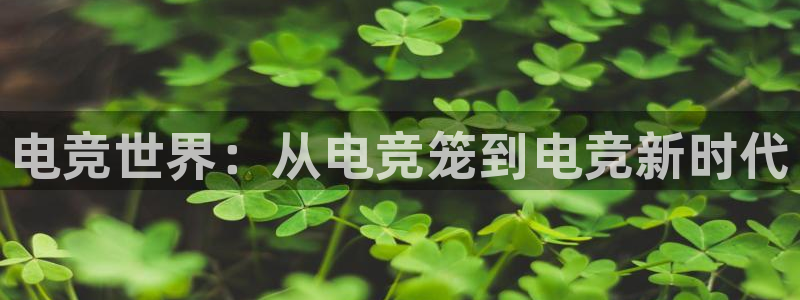 完美电竞大会员：电竞世界：从电竞笼到电竞新时代