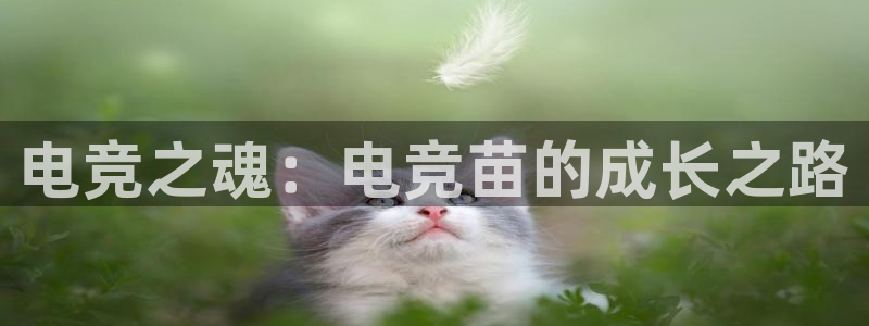 完美电竞直播：电竞之魂：电竞苗的成长之路