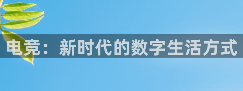 完美电竞平台下载：电竞：新时代的数字生活方式