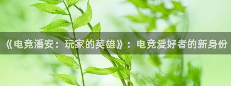 完美电竞对战：《电竞潘安：玩家的英雄》：电竞爱好者的新身份