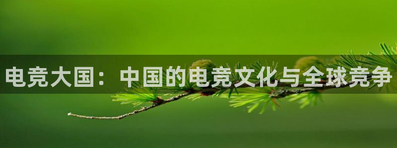 cs完美电竞平台：电竞大国：中国的电竞文化与全球竞争