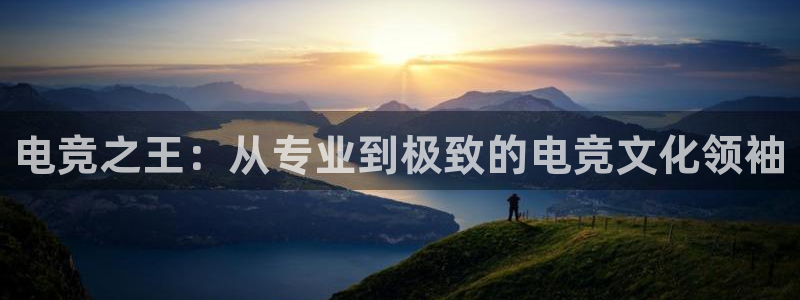 完美电竞查询：电竞之王：从专业到极致的电竞文化领袖