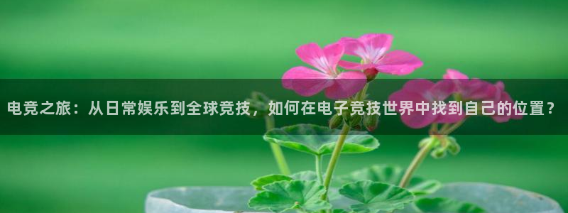 完美电竞开箱：电竞之旅：从日常娱乐到全球竞技，如何在电子竞技世界中找到自己的位置？