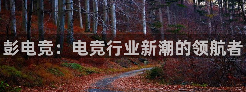 完美电竞官网首页：彭电竞：电竞行业新潮的领航者